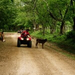 San Juan Del Sur ATV Rentals